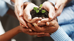 商业流程再造的网站攻击软件